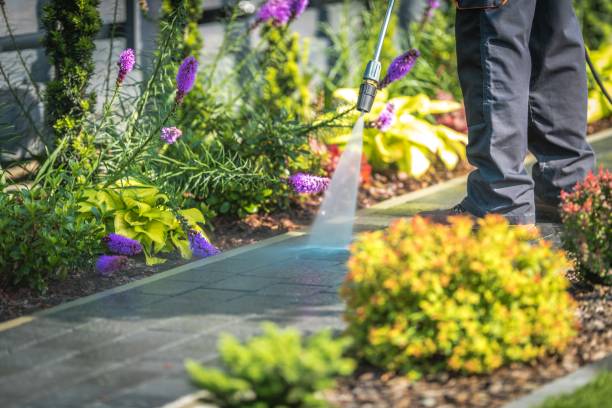 Professional  Pressure Washing Services in Talent, OR